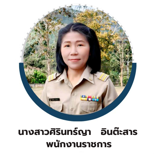 นางสาวศิรินทร์   อินต๊ะสาร